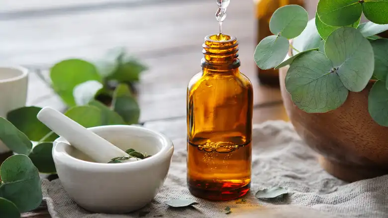 Stay Away From Eucalyptus Oils If You Have Pets. Here's Why