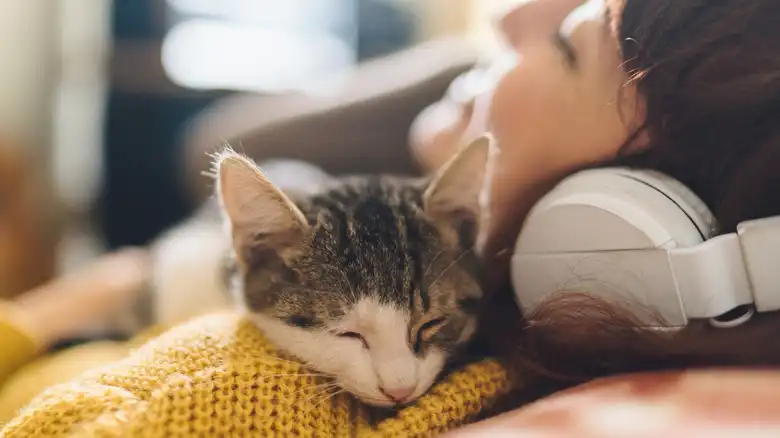 Why Do Cats Sleep On Your Neck And Face?