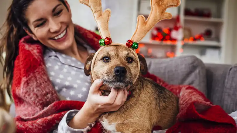 How To Keep Your Pets Safe During The Holidays: Tips For Pet-Proofing Your Home